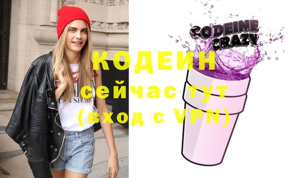 шишки Инта