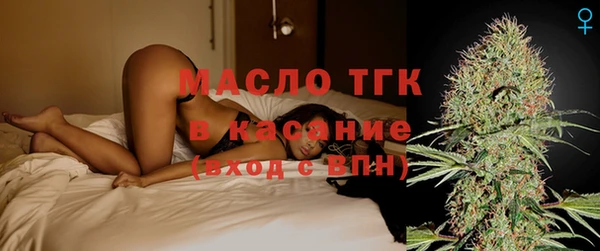 гашик Инсар