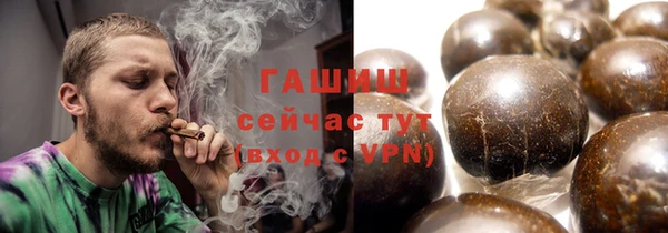 шишки Инта