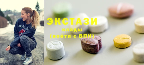 шишки Инта