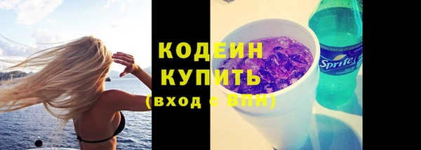 гашик Инсар