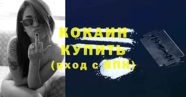 шишки Инта