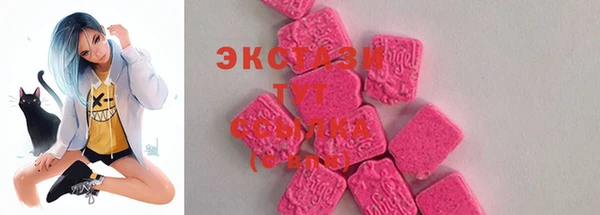 шишки Инта