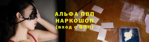шишки Инта