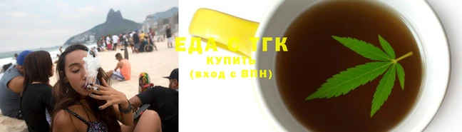 гашик Инсар