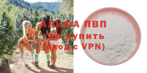 гашик Инсар