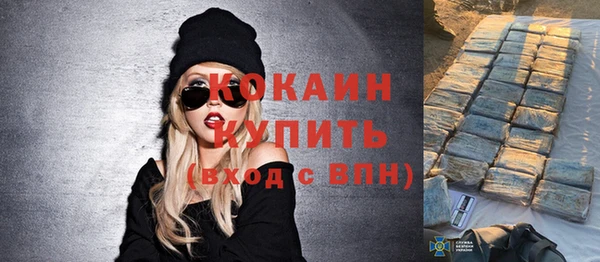 шишки Инта