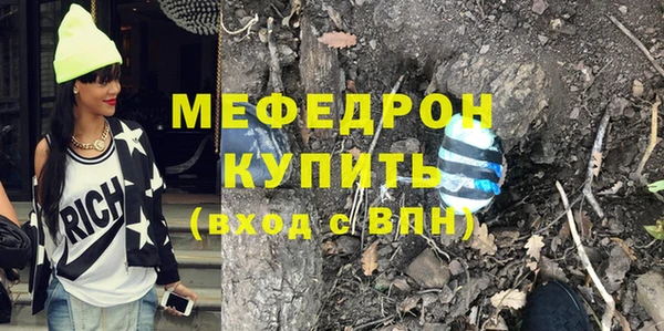 шишки Инта