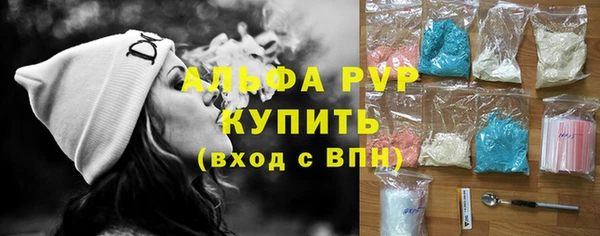 шишки Инта