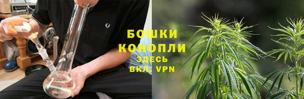 2c-b Иннополис